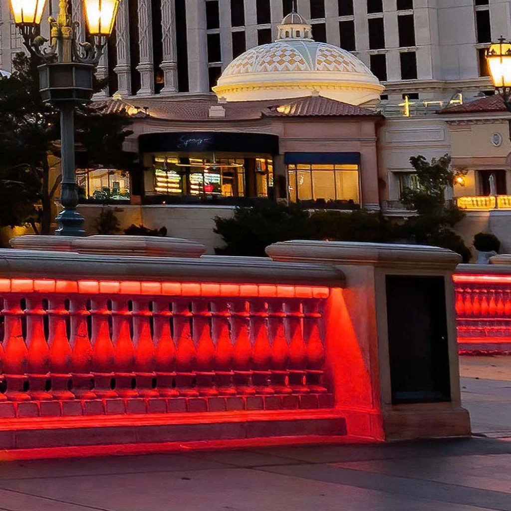 Strip LED COB-320 10W/m 5m 24V Colore Rosso IP67 10mm SKU-23141 - Image 2