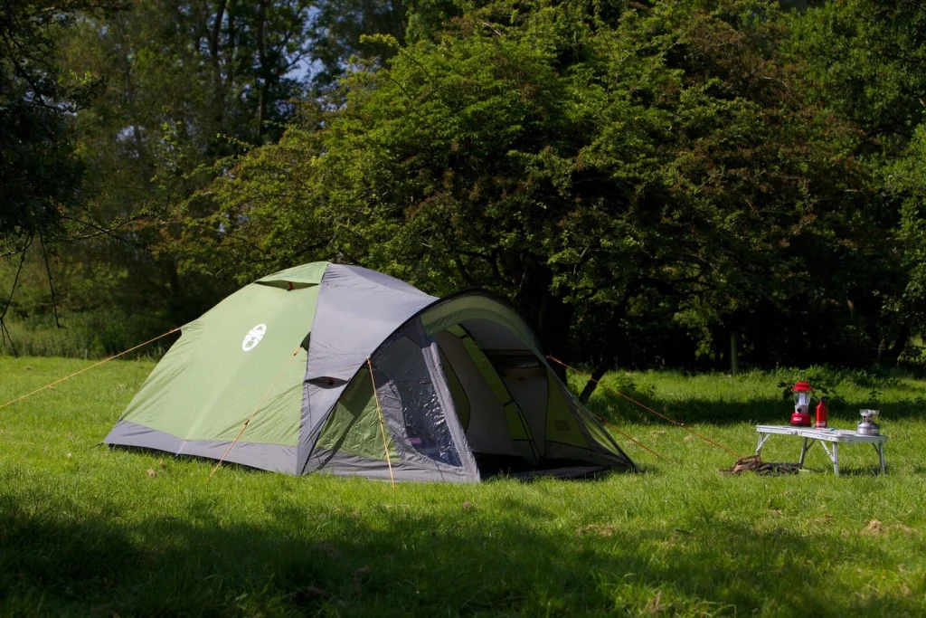 Coleman Darwin 3 Plus 3 persona(e) Verde, Grigio Tenda a cupola/Igloo - Image 9