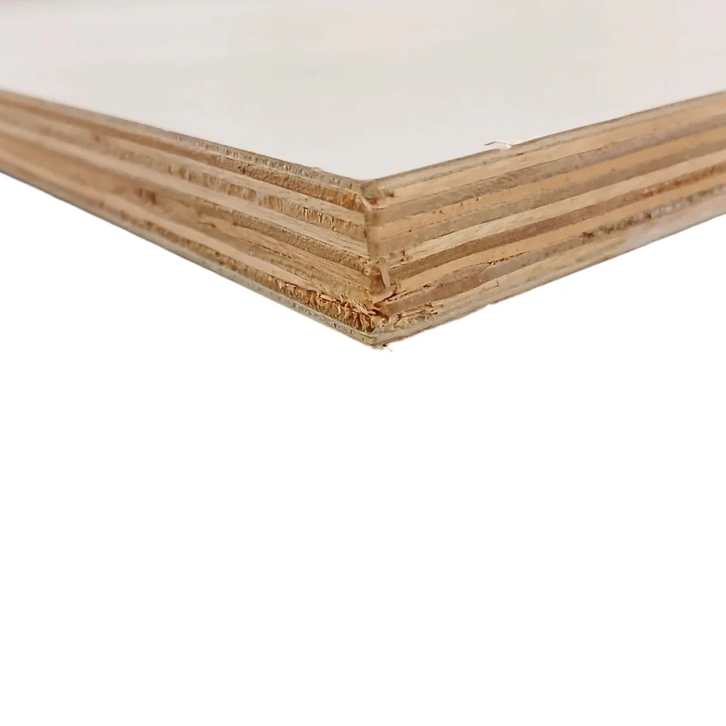COMPENSATO 800X600X18MM PIOPPO BIANCO. - Image 2