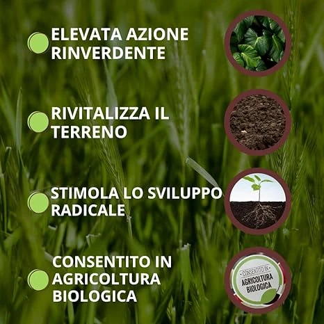 CONCIME ORGANICO FISIOATTIVATORE 'BLACKJAK BIO' ml 500  - VITHAL - Image 4