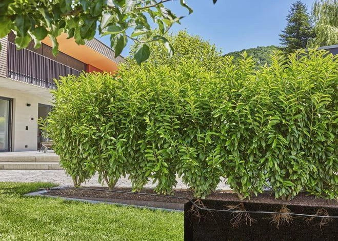 Gardena 13500-20 sistema di irrigazione goccia a goccia - Image 5