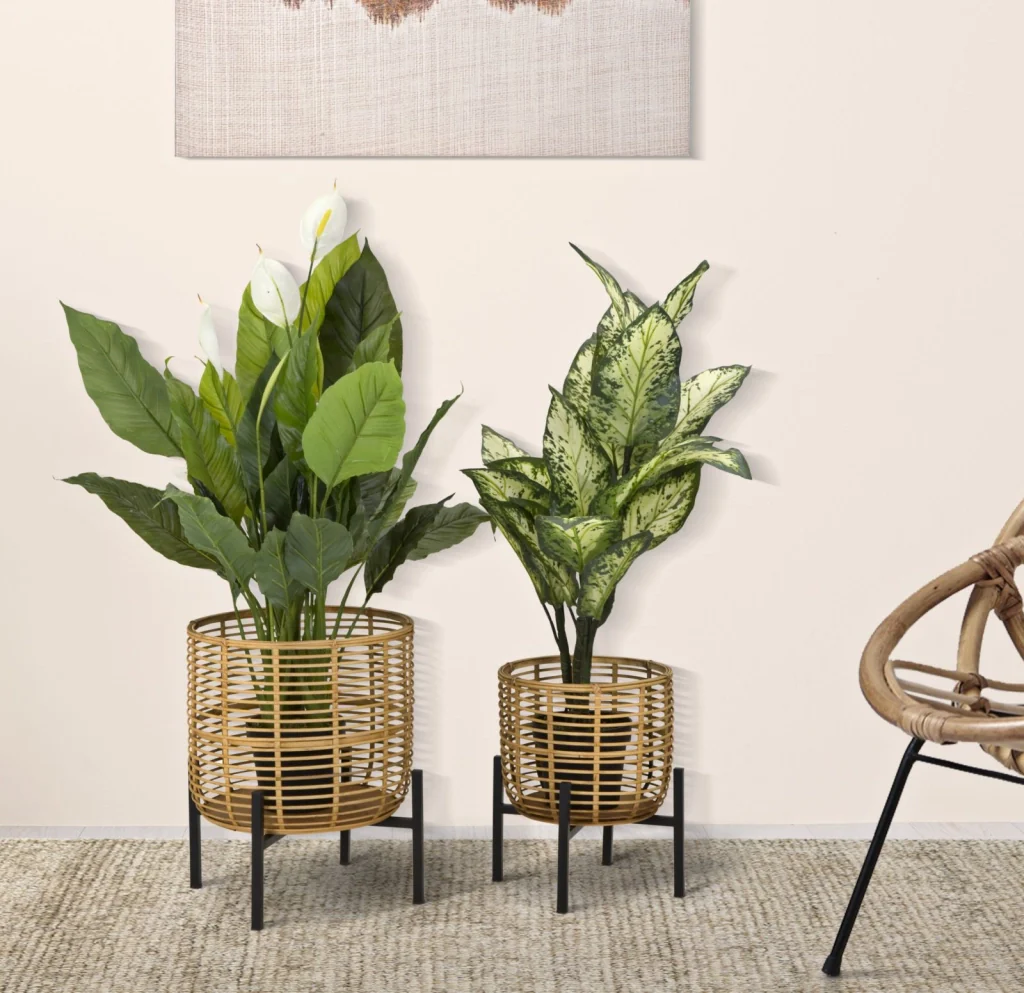 P/VASI RATTAN COPPIA CM � 41X47-33X39 - Image 5