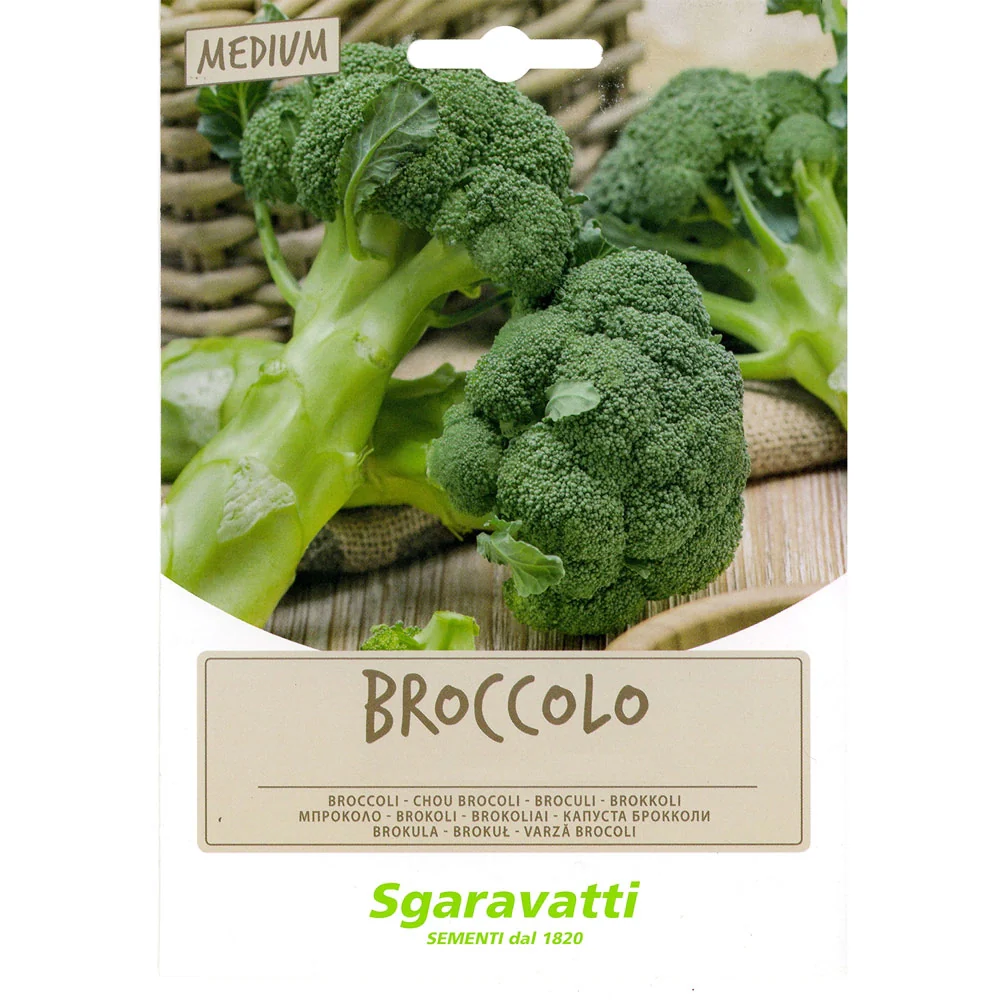 SEMI PER FAVE broccoletto marzatico - gr 100  - SGARAVATTI