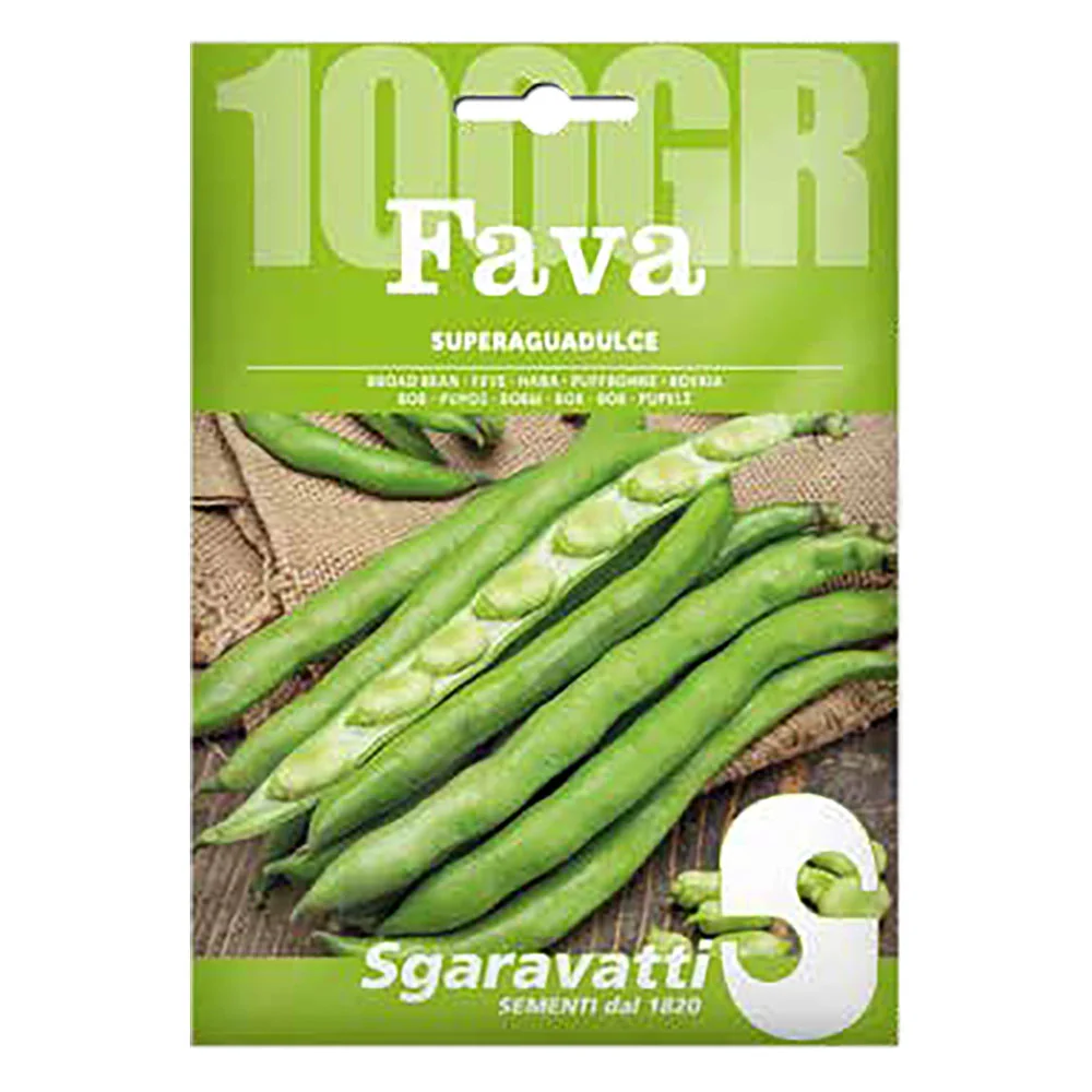 SEMI PER FAVE fava superaguadulce - gr 500  - SGARAVATTI