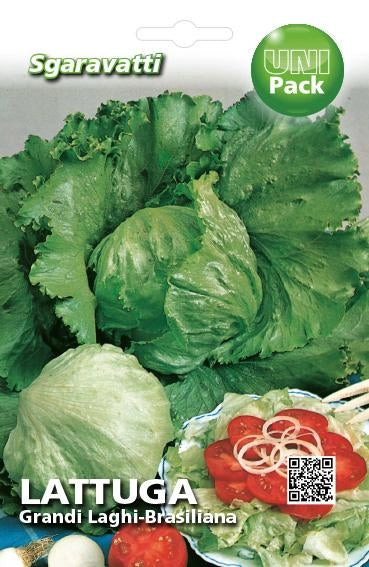 SEMI PER ORTAGGI E VEGETALI lattuga grandi laghi - brasiliana- 20 pezzi  - SGARAVATTI - Image 2