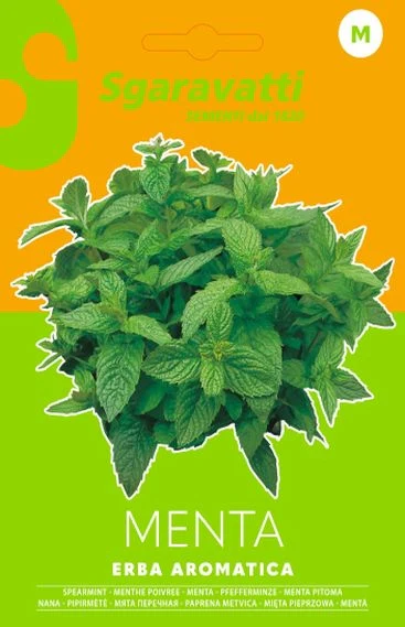 SEMI PER ORTAGGI E VEGETALI menta spicata 20 pezzi  - SGARAVATTI - Image 2