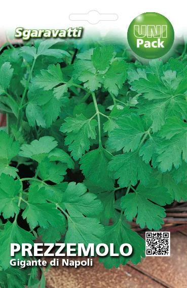SEMI PER ORTAGGI E VEGETALI prezzemolo gigante Napoli 20 pezzi  - SGARAVATTI - Image 2
