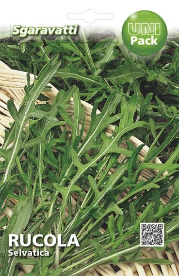 SEMI PER ORTAGGI E VEGETALI rucola selvatica 20 pezzi  - SGARAVATTI - Image 2