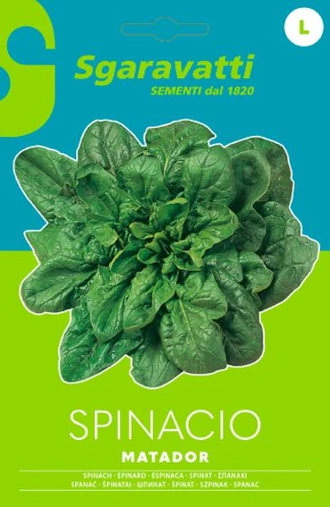 SEMI PER ORTAGGI E VEGETALI spinacio matador- 10 pezzi  - SGARAVATTI