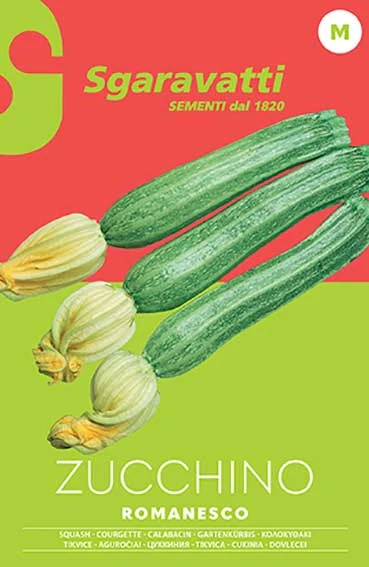 SEMI PER ORTAGGI E VEGETALI zucchino romanesco 20 pezzi  - SGARAVATTI