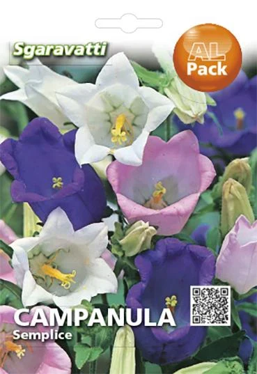 SEMI PER PRATO UNIVERSALE campanula semplice 20 pezzi  - SGARAVATTI - Image 2