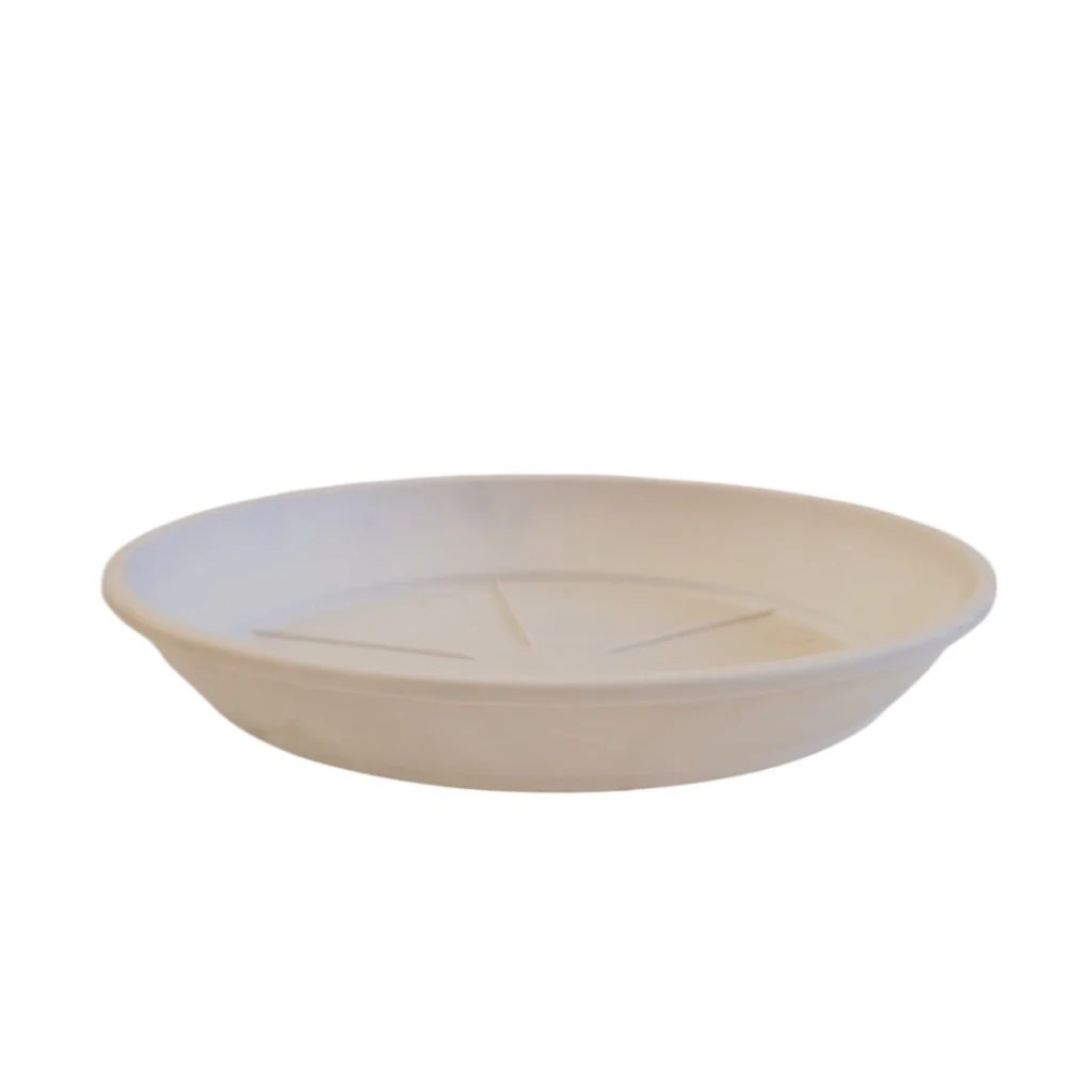 SOTTOVASO COLOR D.24XH3,8CM ASSORTITO - Image 4