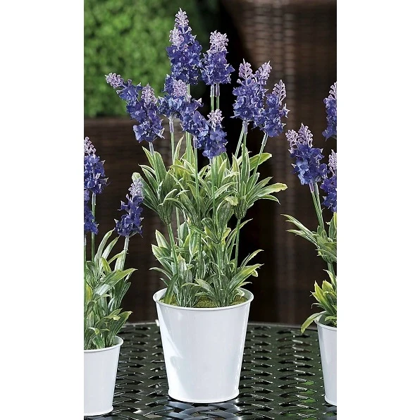 VASO CON LAVANDA D.10.5XH39CM IN 2 MODELLI