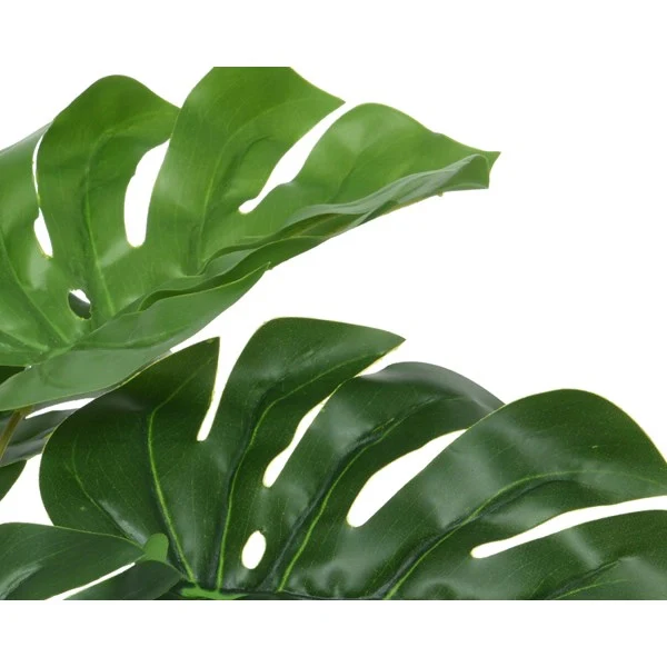 VASO CON MONSTERA D.25XH25CM - Image 2