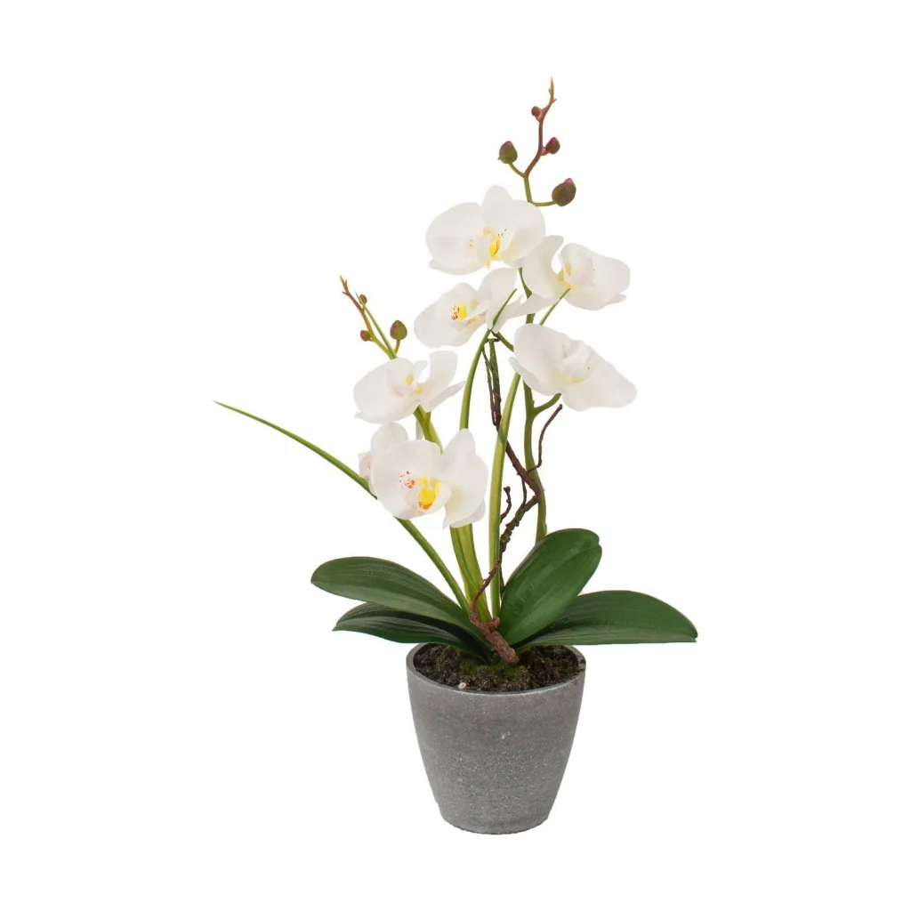 VASO CON ORCHIDEA A 7 FIORI D.10XH38CM IN 4 COLORI - Image 3