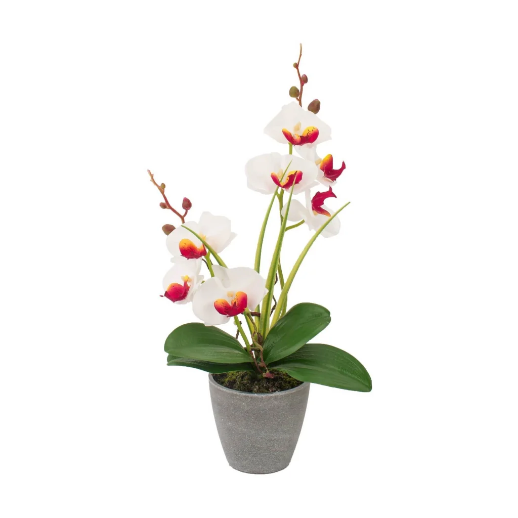 VASO CON ORCHIDEA A 7 FIORI D.10XH38CM IN 4 COLORI - Image 4