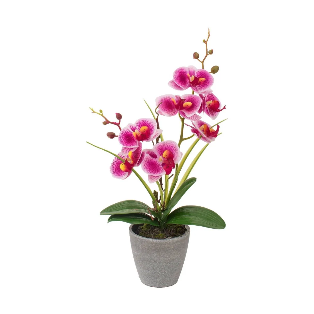 VASO CON ORCHIDEA A 7 FIORI D.10XH38CM IN 4 COLORI - Image 5